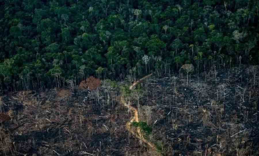 Desmatamento da Amazônia ampliou risco de calor no Brasil, diz chefe da ONU